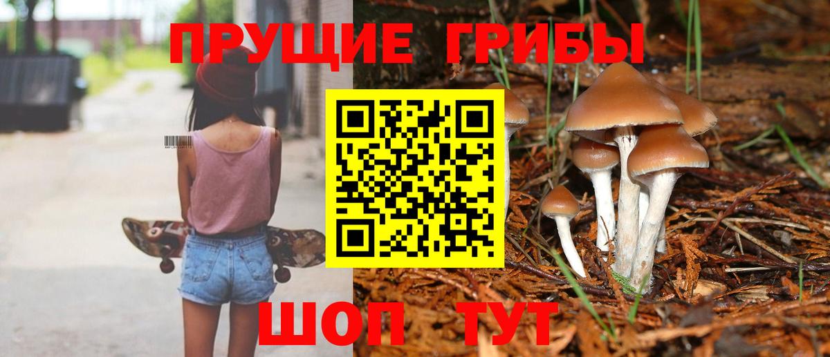 Псилоцибиновые грибы мицелий Кудымкар